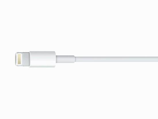 Apple Lightning to USB Cable | Apple Lightning Cable USB 2.0 Charging Cable for iPhone 5/5s/6/6s Plus/SE/iPad (Simple Package)